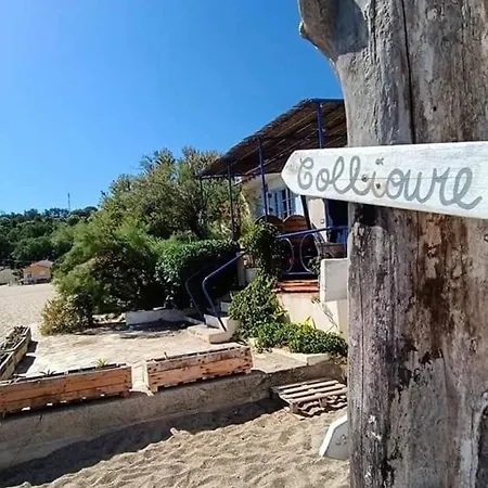 公寓 Avec Loggia Et Jardin, Piscine Et Tennis, 500m De La - - Fr-1-776-60 滨海阿热莱斯