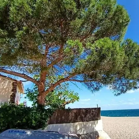公寓 Avec Loggia Et Jardin, Piscine Et Tennis, 500m De La - - Fr-1-776-60