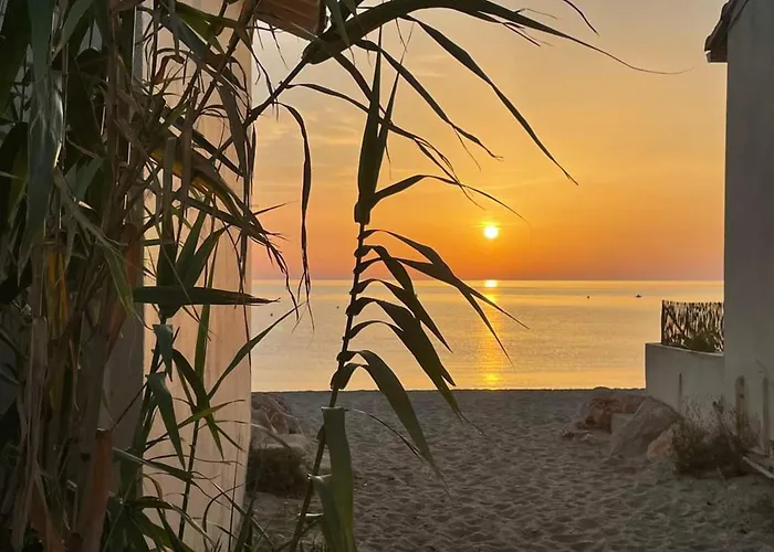 Avec Loggia Et Jardin, Piscine Et Tennis, 500m De La - - Fr-1-776-60 * Argelès-sur-Mer