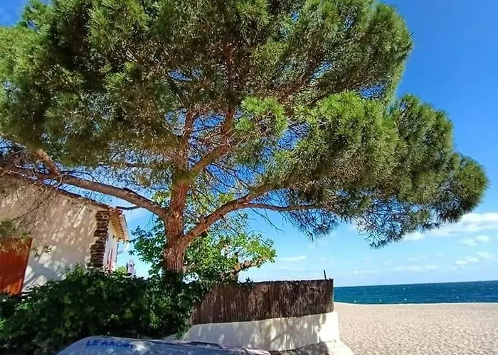 Apartmán Avec Loggia Et Jardin, Piscine Et Tennis, 500m De La - - Fr-1-776-60